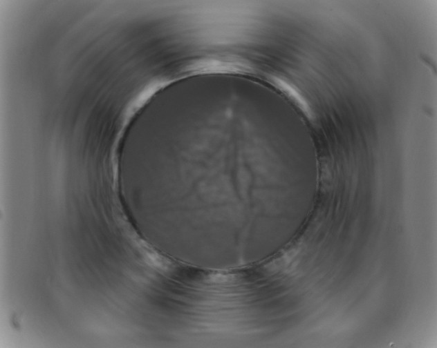 X0000097491419200803141947