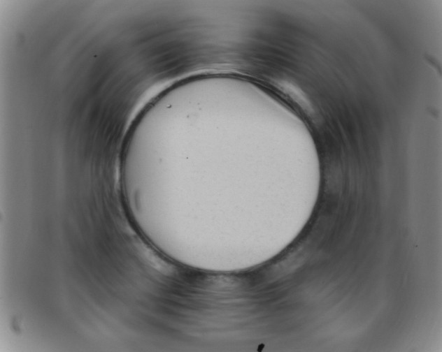 X0000097491420200803141947