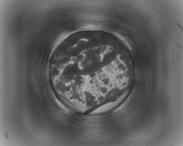 X0000097491421200803141947