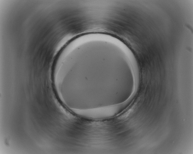 X0000097491422200803141947