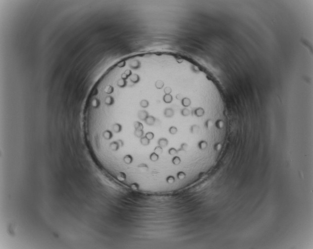 X0000097491423200803141947