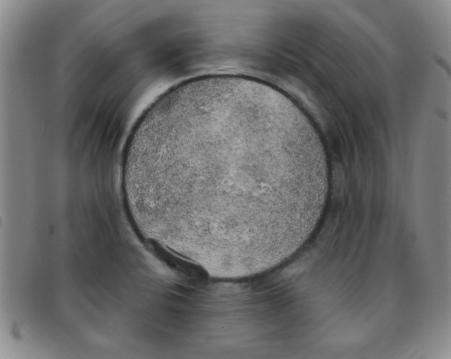 X0000097491424200803141947