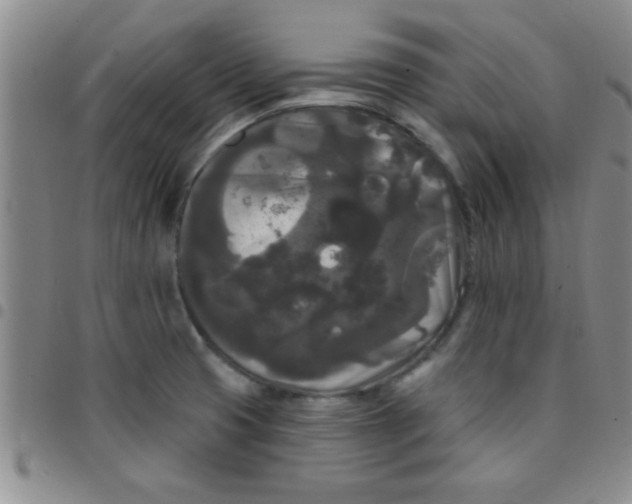 X0000097491425200803141947