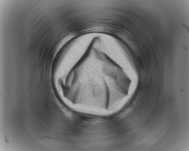 X0000097491426200803141947