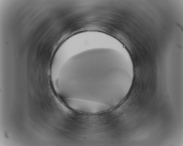 X0000097491428200803141947