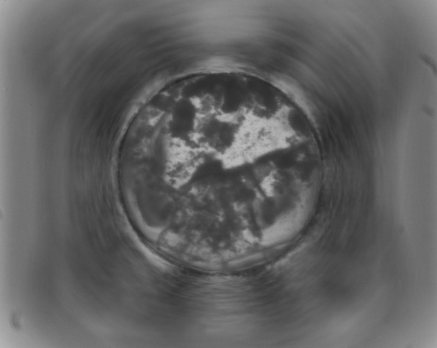 X0000097491429200803141947