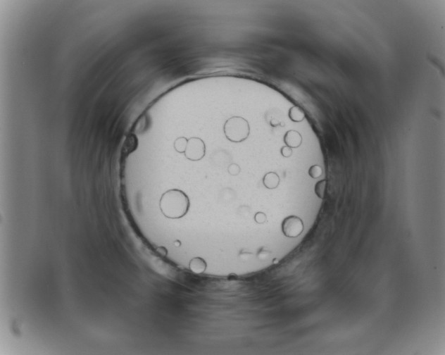 X0000097491431200803141947