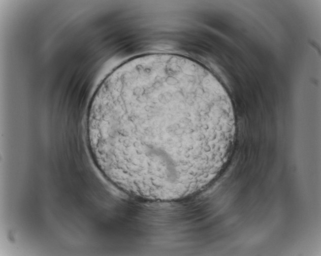 X0000097491432200803141947