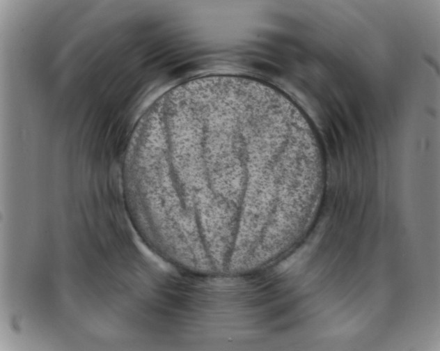 X0000097491433200803141947