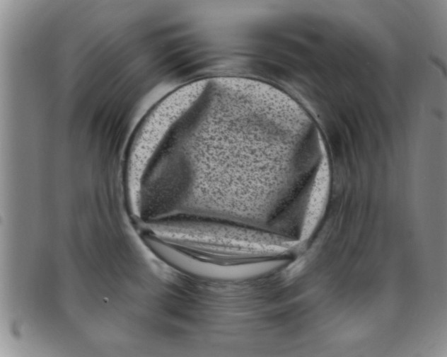 X0000097491434200803141947