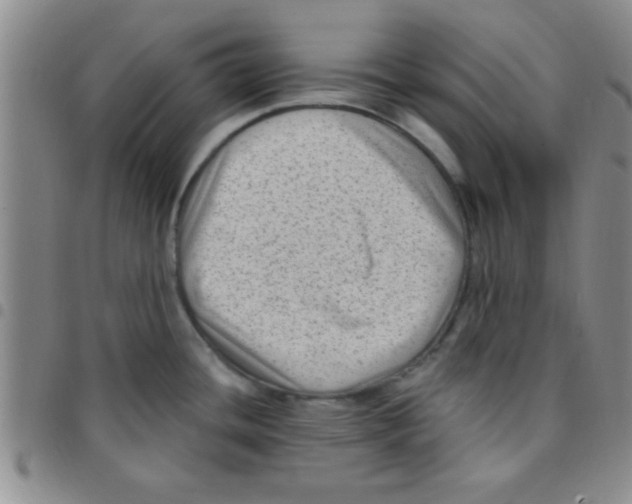 X0000097491436200803141947