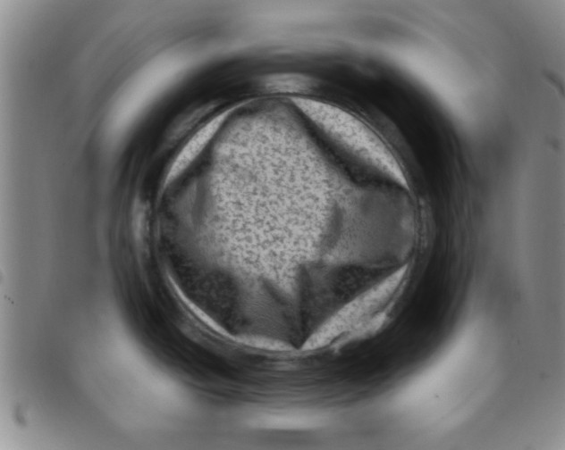 X0000097491438200803141947