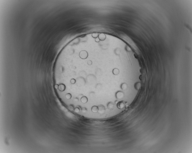 X0000097491439200803141947