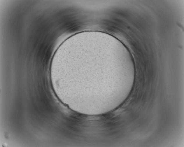 X0000097491440200803141947