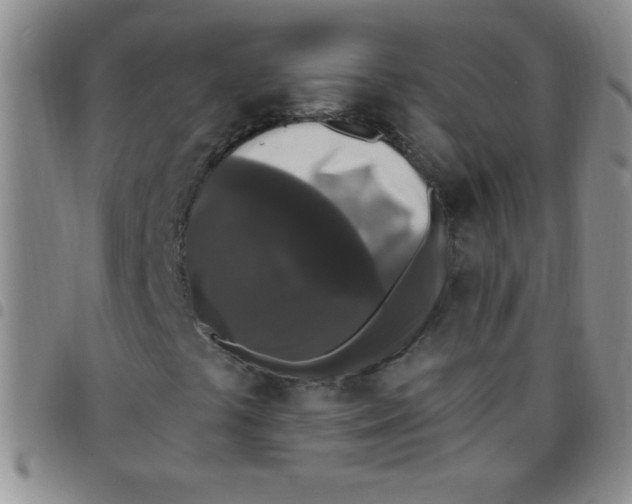 X0000097491441200803141946