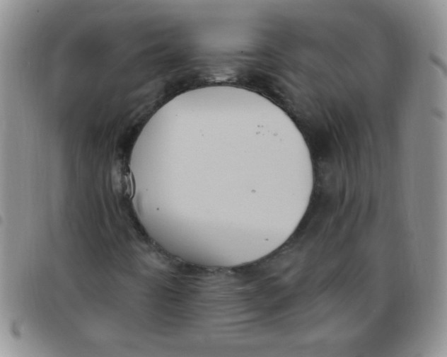 X0000097491442200803141946