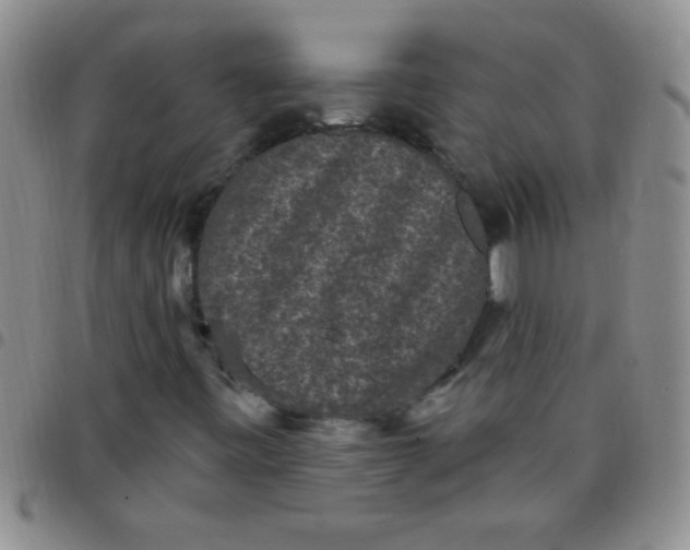 X0000097491443200803141946