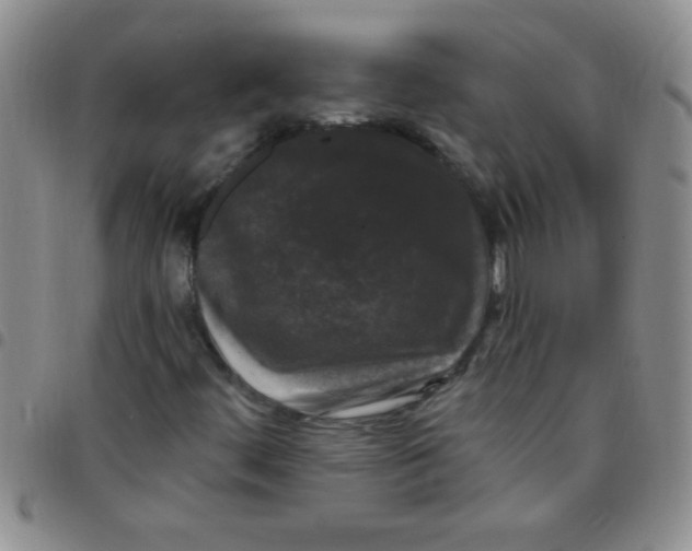 X0000097491444200803141946