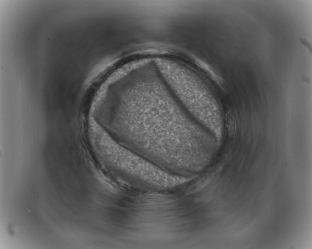 X0000097491448200803141946