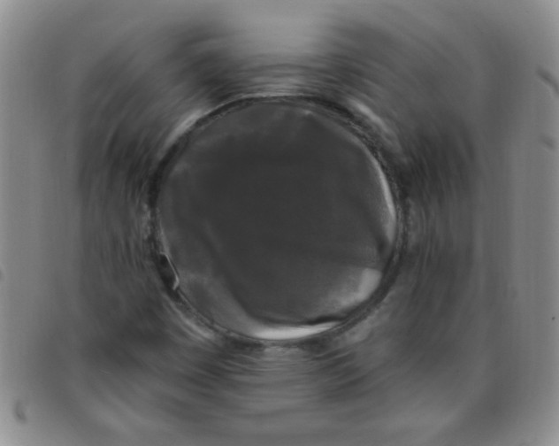 X0000097491449200803141946