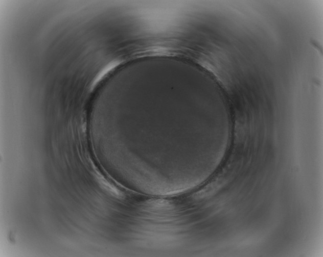 X0000097491450200803141946