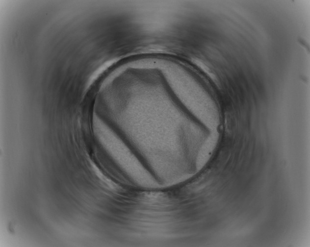 X0000097491452200803141946