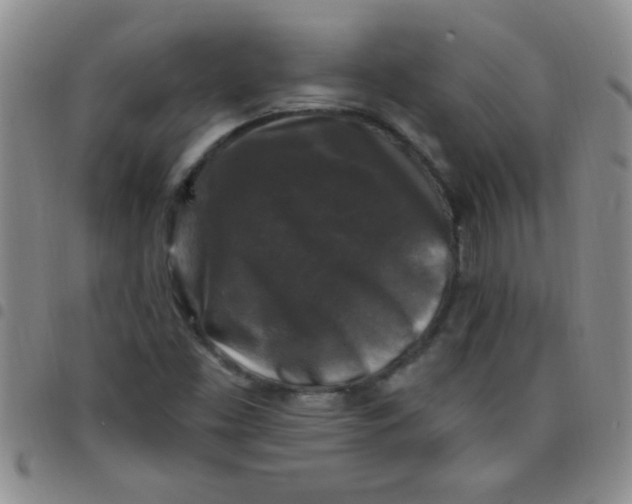 X0000097491453200803141946