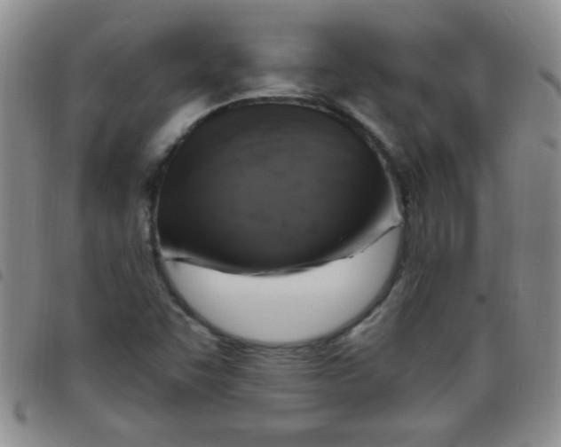 X0000097491455200803141946