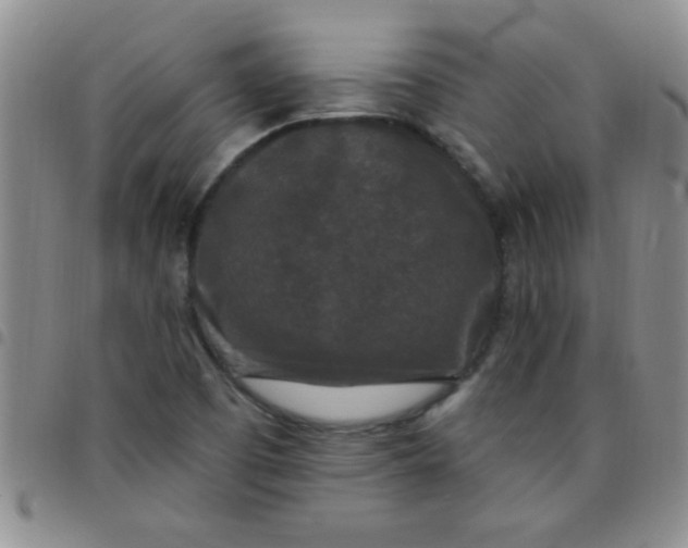 X0000097491457200803141946