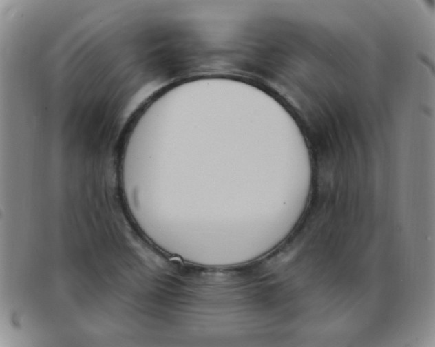 X0000097491458200803141946