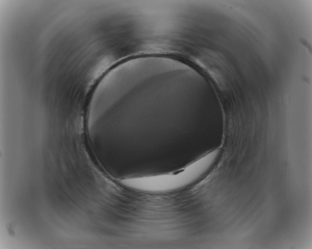 X0000097491459200803141946