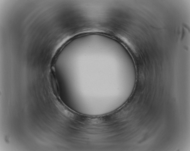 X0000097491460200803141946