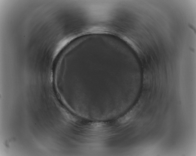 X0000097491461200803141946