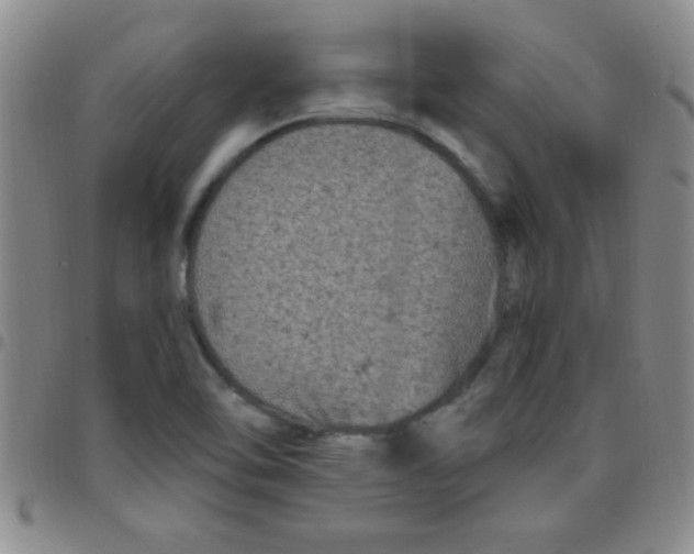 X0000097491462200803141946