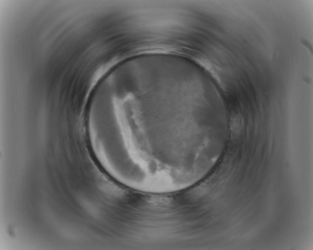 X0000097491466200803141946