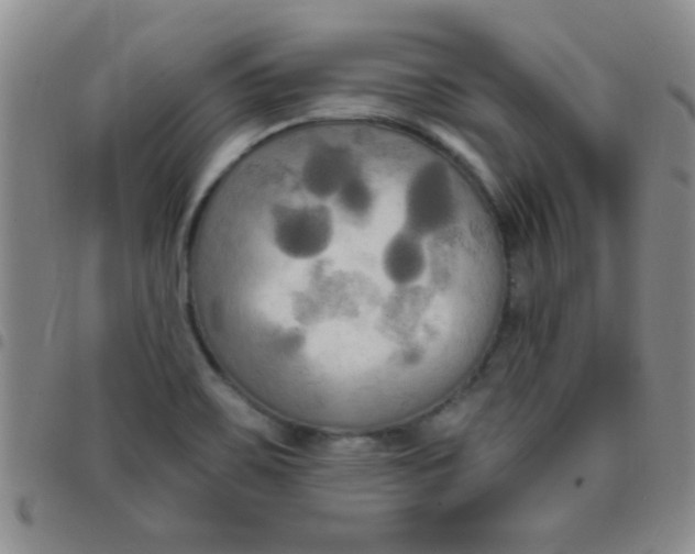 X0000097491467200803141946