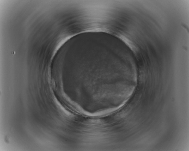 X0000097491468200803141946