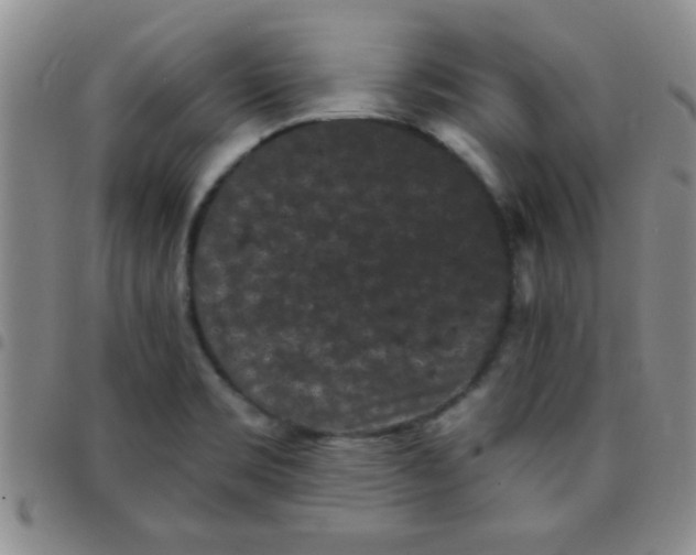 X0000097491469200803141946