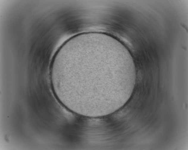 X0000097491470200803141946