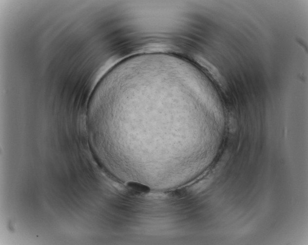 X0000097491473200803141946