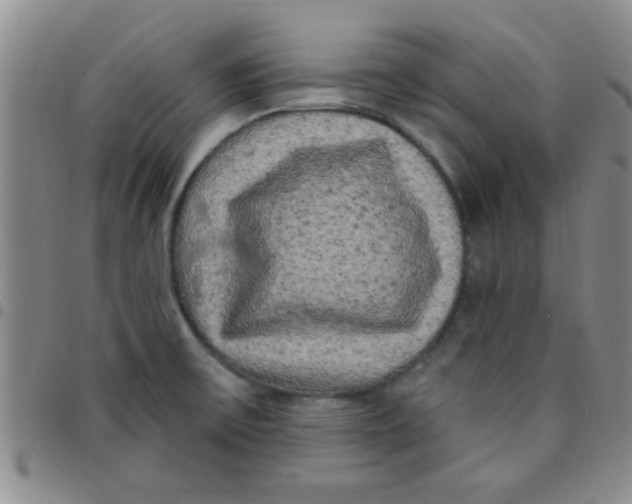 X0000097491475200803141946