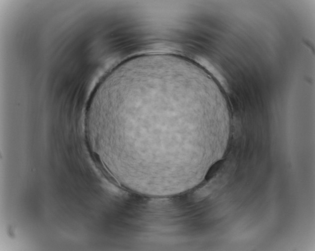 X0000097491477200803141946