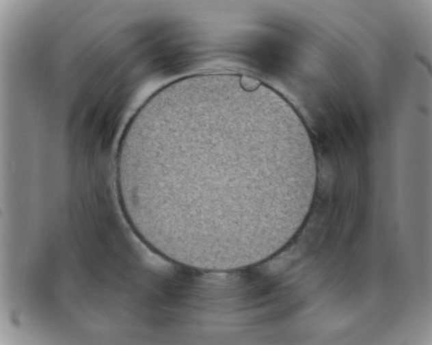 X0000097491478200803141946