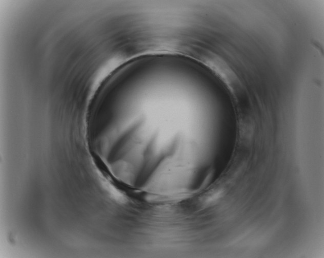 X0000097491480200803141946