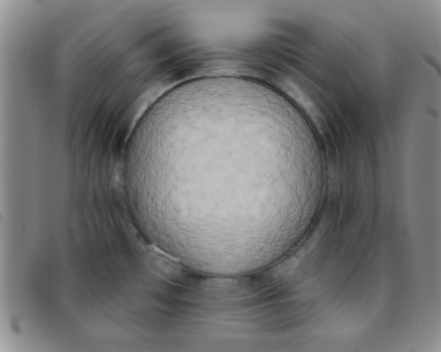 X0000097491481200803141946