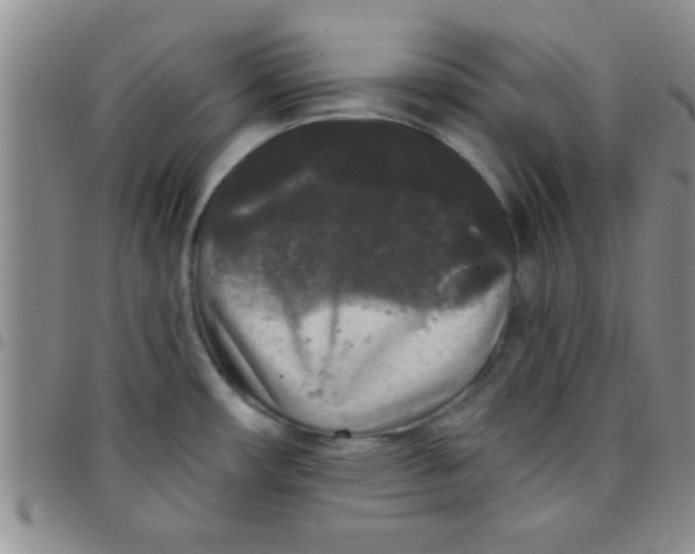 X0000097491482200803141946