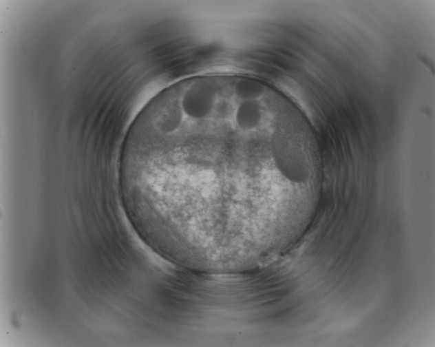 X0000097491483200803141946