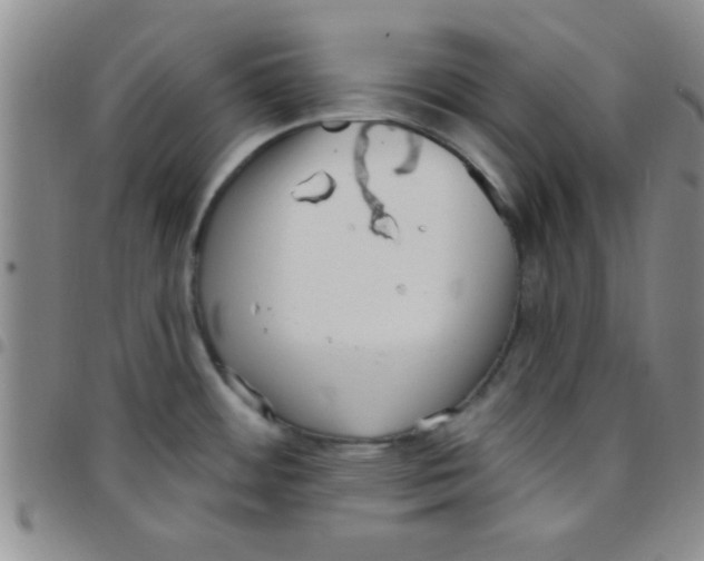 X0000097491484200803141946