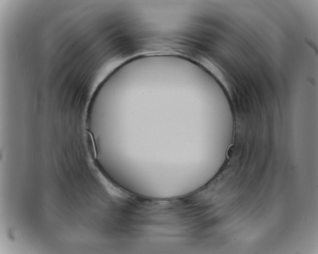 X0000097491485200803141946