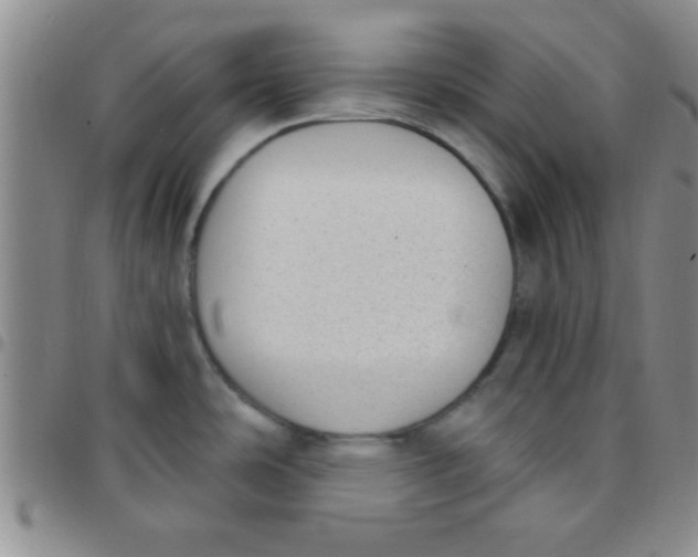 X0000097491486200803141946